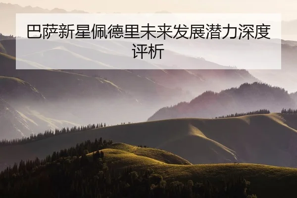巴萨新星佩德里未来发展潜力深度评析